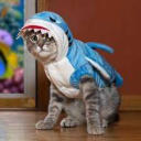 I am your tormentor.